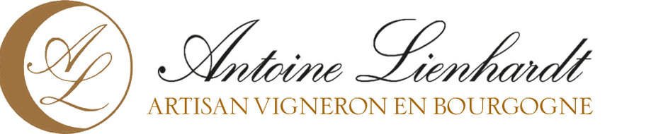 Image de l'échantillon