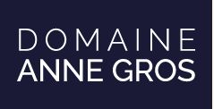 logo-Anne Gros