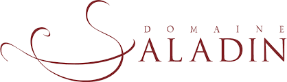 logo-saladin