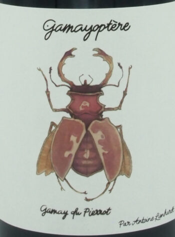 le Marché des Vins-Antoine LIENHARDT-Vin Rouge