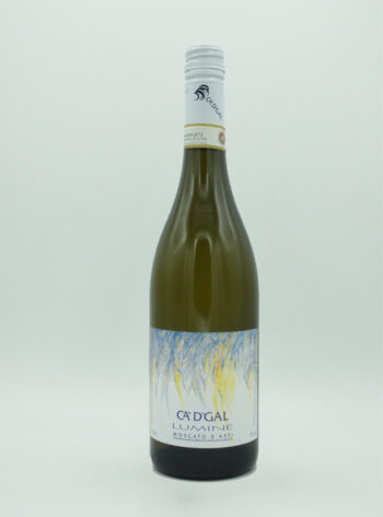 le Marché des Vins-A bicyclette-Vin Blanc